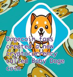 Baby doge crypto price