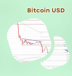Bitcoin price usd live