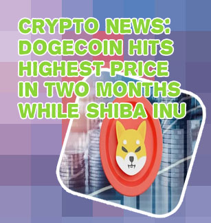 Shiba inu crypto news