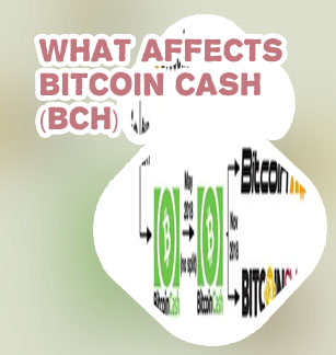 What is bitcoincash