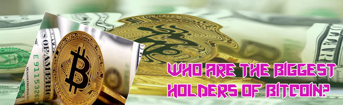 Who holds the most bitcoin